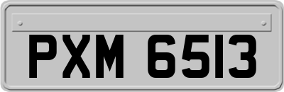 PXM6513