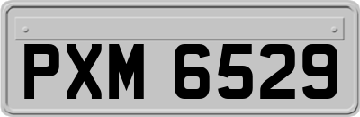 PXM6529