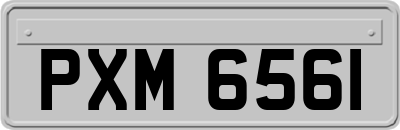 PXM6561