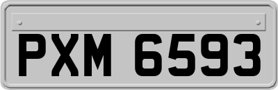 PXM6593