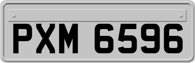 PXM6596