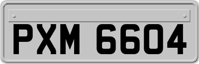 PXM6604