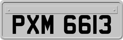 PXM6613