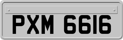 PXM6616