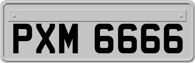 PXM6666