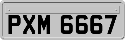 PXM6667