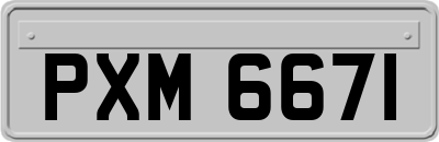 PXM6671