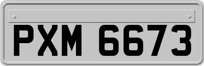 PXM6673