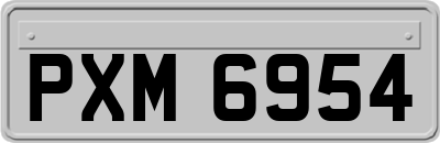 PXM6954