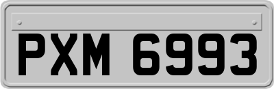 PXM6993