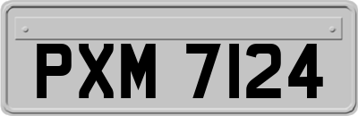 PXM7124