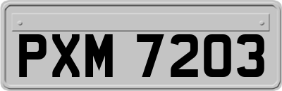 PXM7203