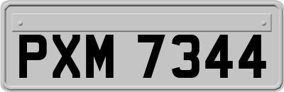 PXM7344