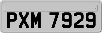 PXM7929