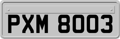 PXM8003