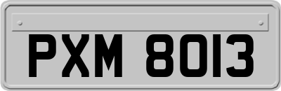 PXM8013