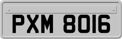 PXM8016