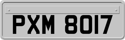 PXM8017