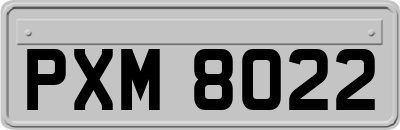 PXM8022