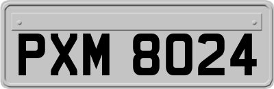 PXM8024