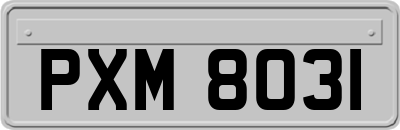 PXM8031