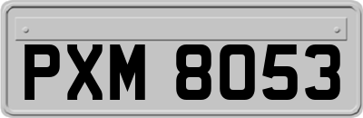 PXM8053