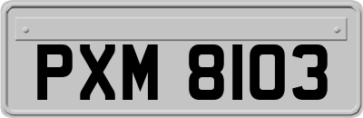 PXM8103