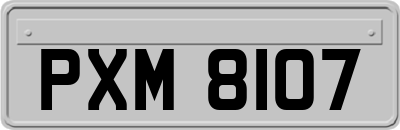 PXM8107