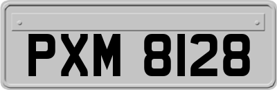 PXM8128