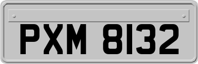 PXM8132