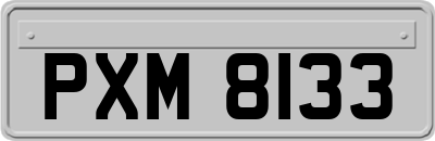 PXM8133