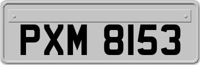 PXM8153