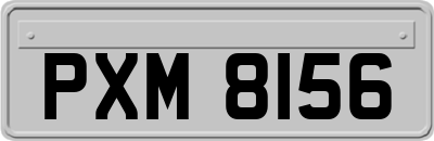 PXM8156