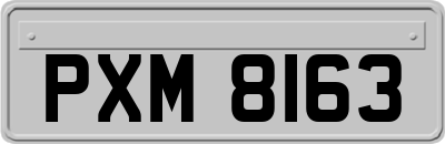 PXM8163