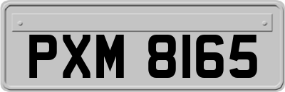 PXM8165