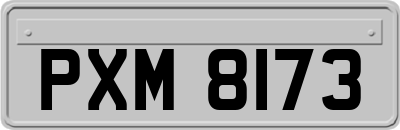 PXM8173