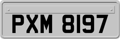 PXM8197