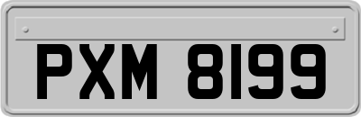 PXM8199