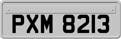 PXM8213