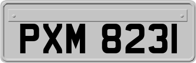 PXM8231