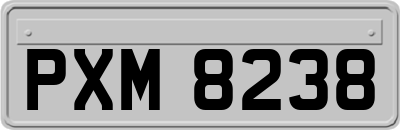 PXM8238