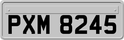 PXM8245