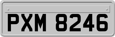 PXM8246