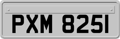 PXM8251