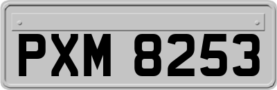 PXM8253