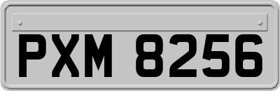 PXM8256