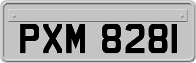 PXM8281