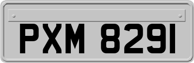 PXM8291