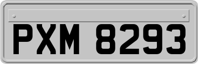 PXM8293