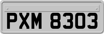 PXM8303